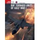 138, RAF Tornado Units of Gulf War I