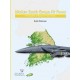 Modern South Korean Air Power - The Republic of Korea Air Force Today