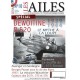 Les Ailes 10 : Dewoitine D.520 - Le mythe à la loupe